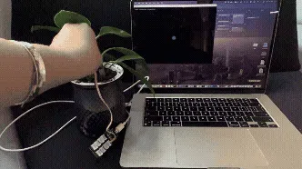 ADHD Exclusive Plant Steward