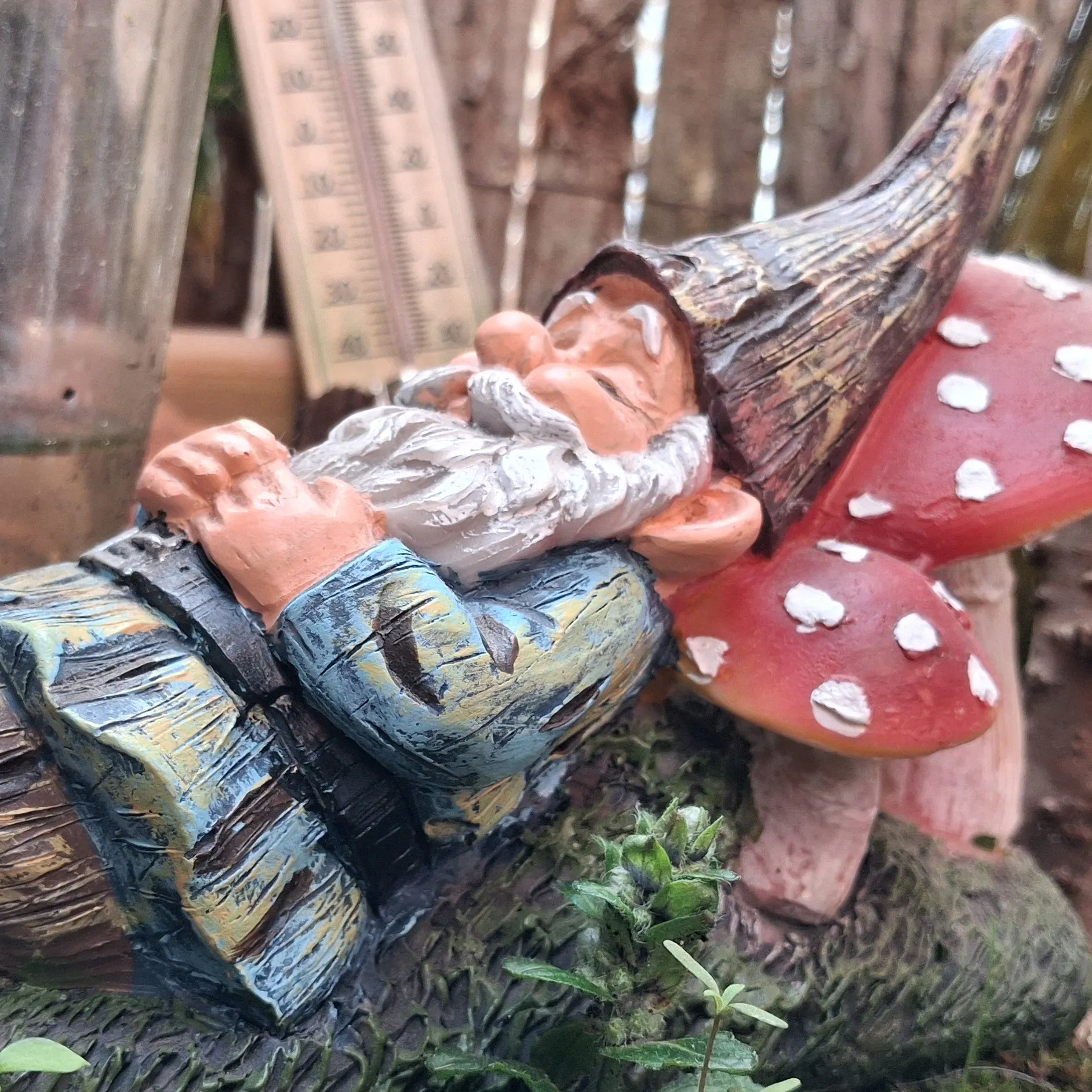 WildGardenGnome