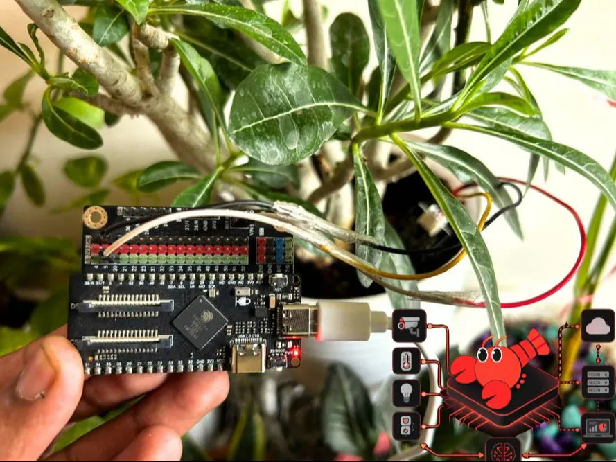 ESP-Claw with DFRobot ESP32-P4