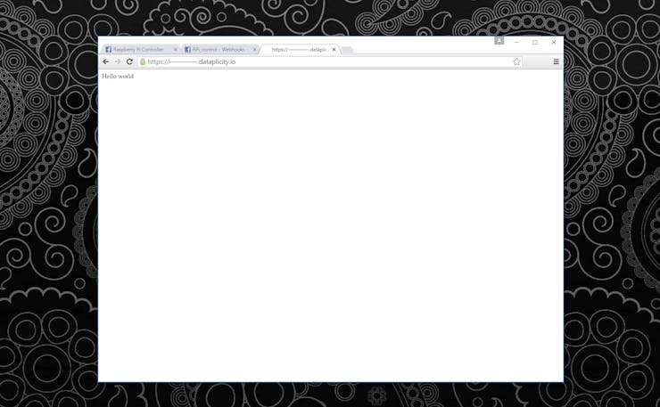 Testing the server