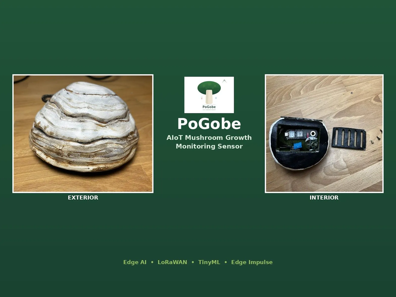 PoGobe sensor monitors mushroom growth with TinyML
