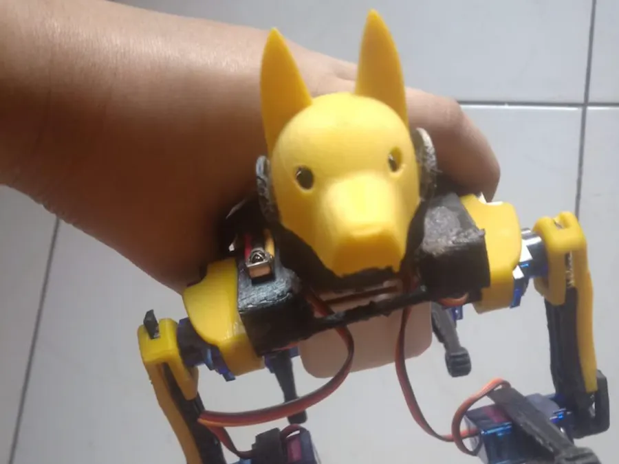 DIY Indian-Made Petoi Bittle Replica from Scratch