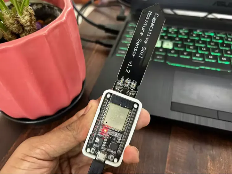 Building a Real‑Time Soil Moisture Dashboard