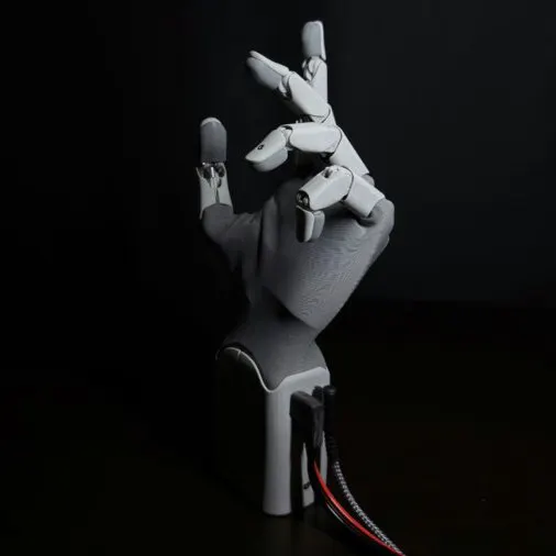 リンボ out of hand Don't Give Gesture Platforms' William Lin a Hand — He's Brought