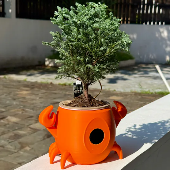 Clawrophyll Fully Assembled