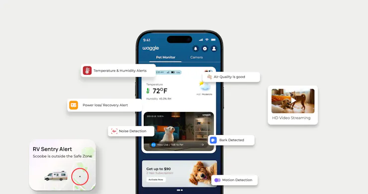 Web App Dashboard
