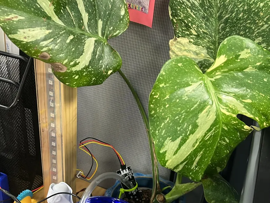 ClassroomAutomatedHousePlantProject