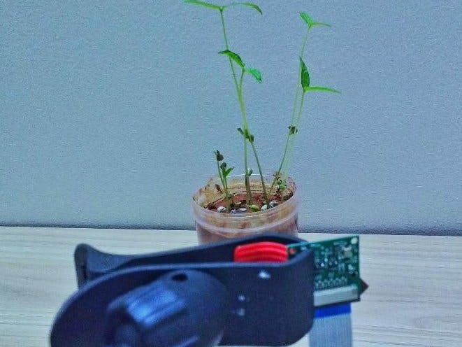 Make Time Lapse Videos Using Raspberry Pi (11 Lines of Code)