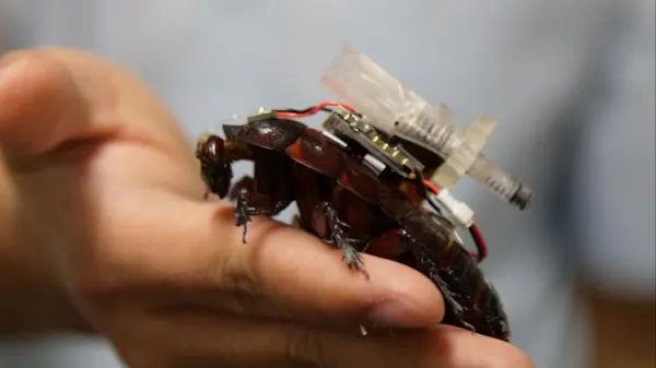 https://hackster.imgix.net/uploads/attachments/1992331/_GEQkYk7XCH.blob?auto=compress%2Cformat&w=600&h=450&fit=min