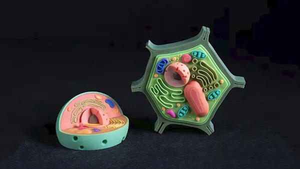 https://hackster.imgix.net/uploads/attachments/1996602/_lfjzNI7bfG.blob?auto=compress%2Cformat&w=600&h=450&fit=min