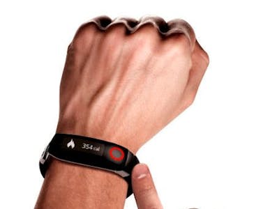 Wearable Wristband for Biomedical Variables Monitoring