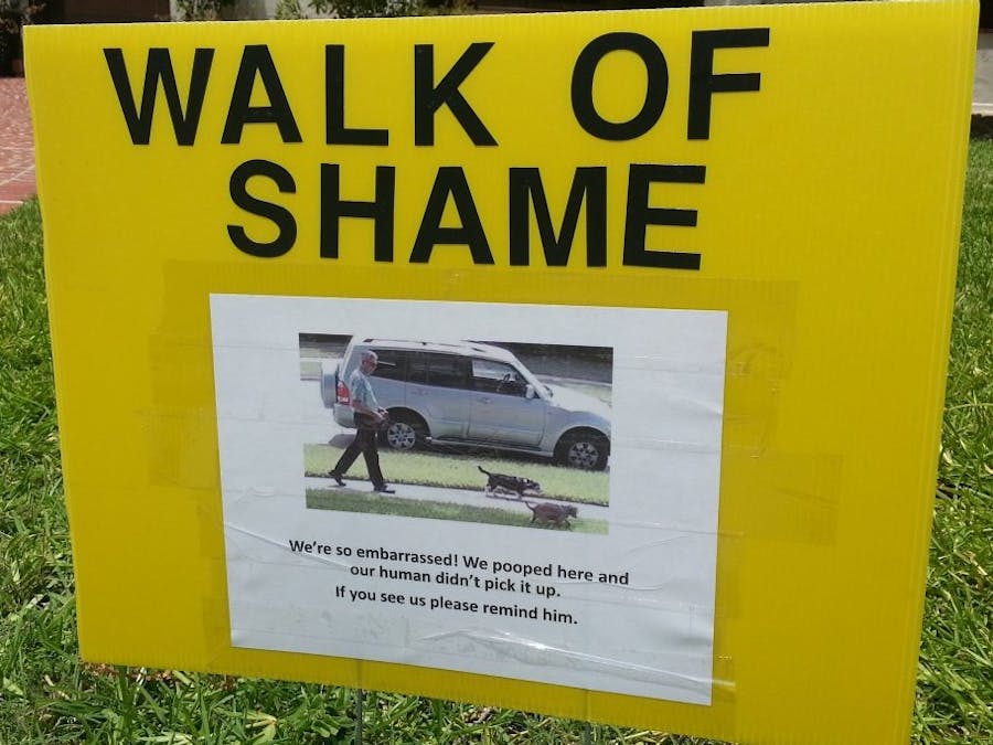 DRS-Enabled Doggie-Doo Baggie Dispenser