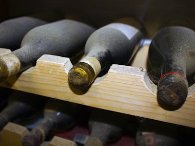 Wine Cellar Monitoring