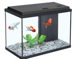 IOT for live control for Aquarium and Using DRS to orders