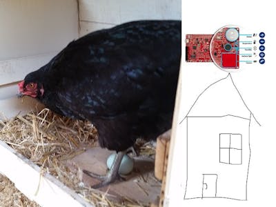 chicken house surveillant