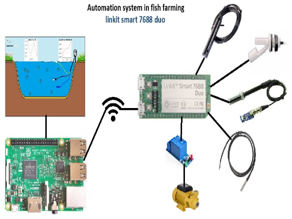 Automation system in fish farming