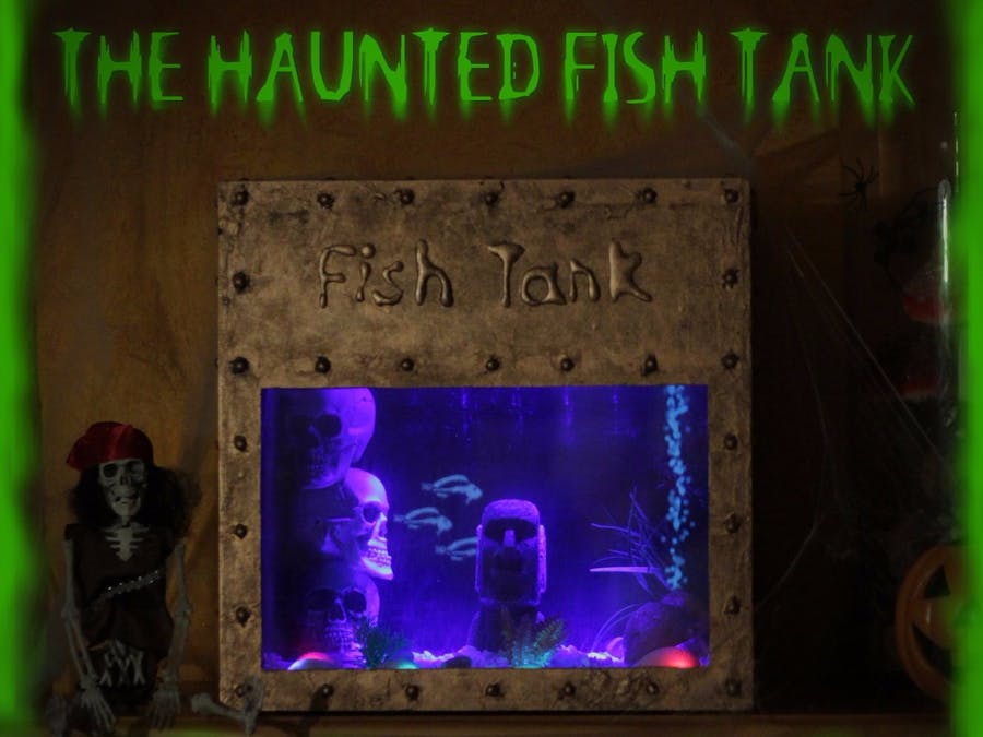 The Haunted Fish Tank