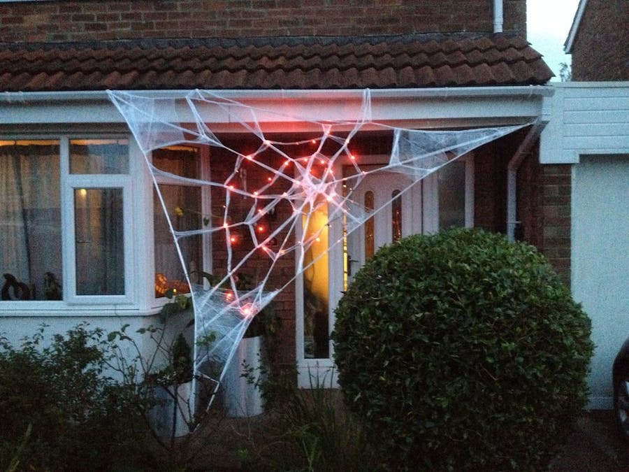 Giant Spider Web