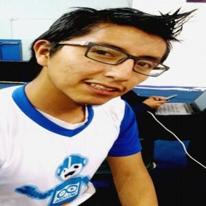 Nagib Luis Vallejos Mamani