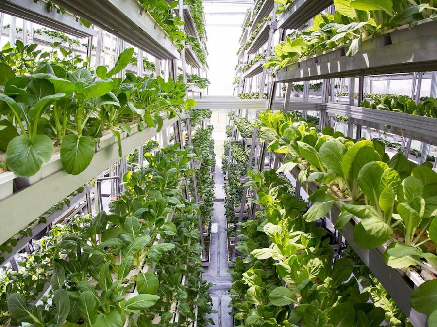 Vertical Farming Machine