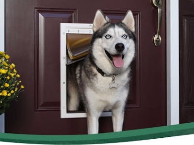 Doggy Door Security and Pet Tracker