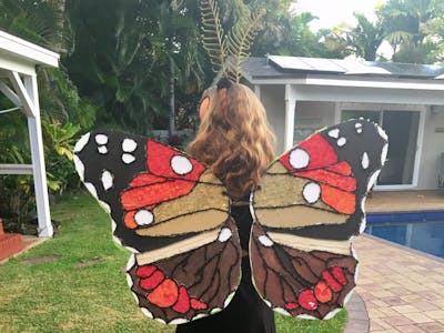 The Kamehameha Butterfly Halloween Costume