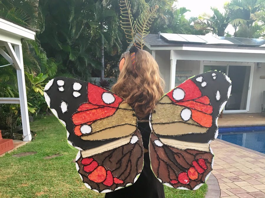The Kamehameha Butterfly Halloween Costume