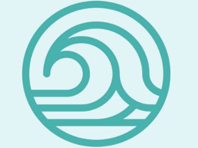 Worldwide Surf Report