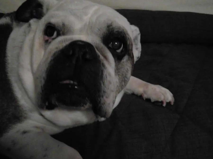 How cold is it in my car?