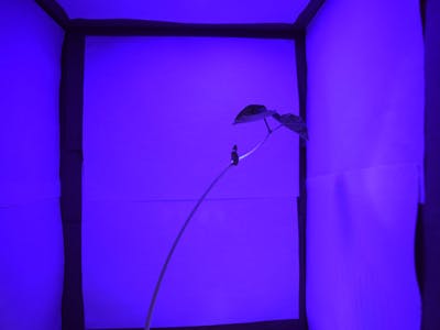 ESP8266 Plant Grower
