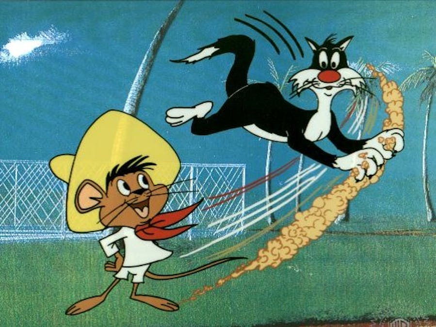 Wily cat toy
