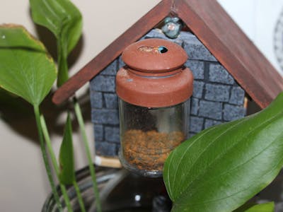 YAFF - Yet Another Fish Feeder