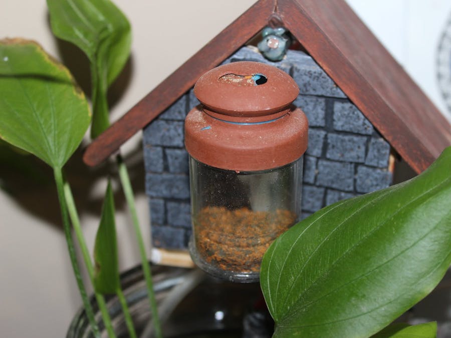 YAFF - Yet Another Fish Feeder