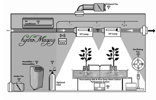 Typical Grow Environment and hydroMazing