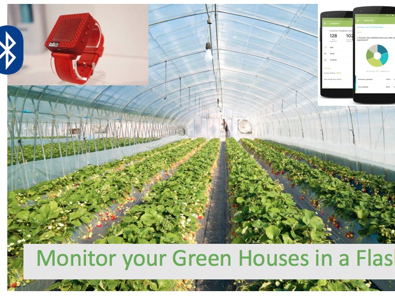Greenhouse Plant Monitoring