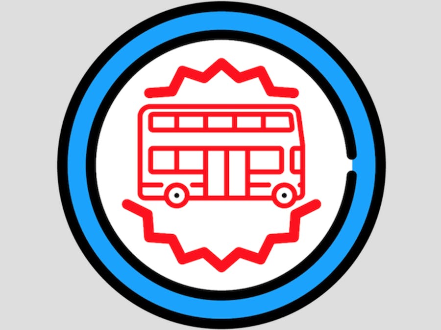 Seagulls Buses