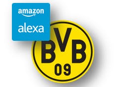 Ask Alexa for next BVB game