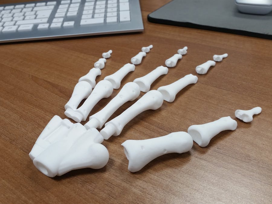 Bio-Mechanical Anatomical Hand Kinematics