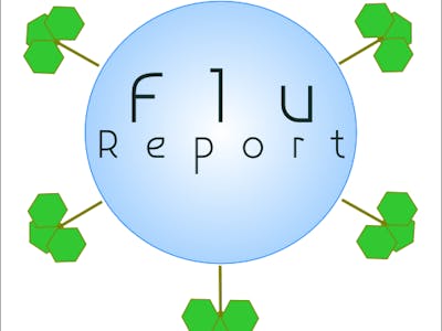 Flu Report