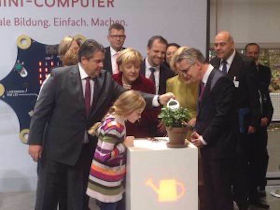 Plant watering system