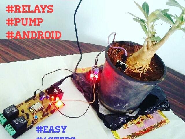 #DIY# How to grow Bonsai (or any plant) using Internet of...