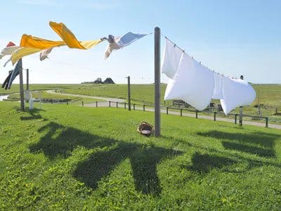 Clothesline monitor