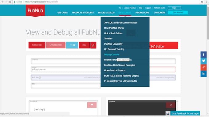 The PubNub Debug Console. A bit tricky to remember where it is. 