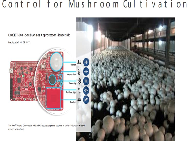 Mushroom  cultivation
