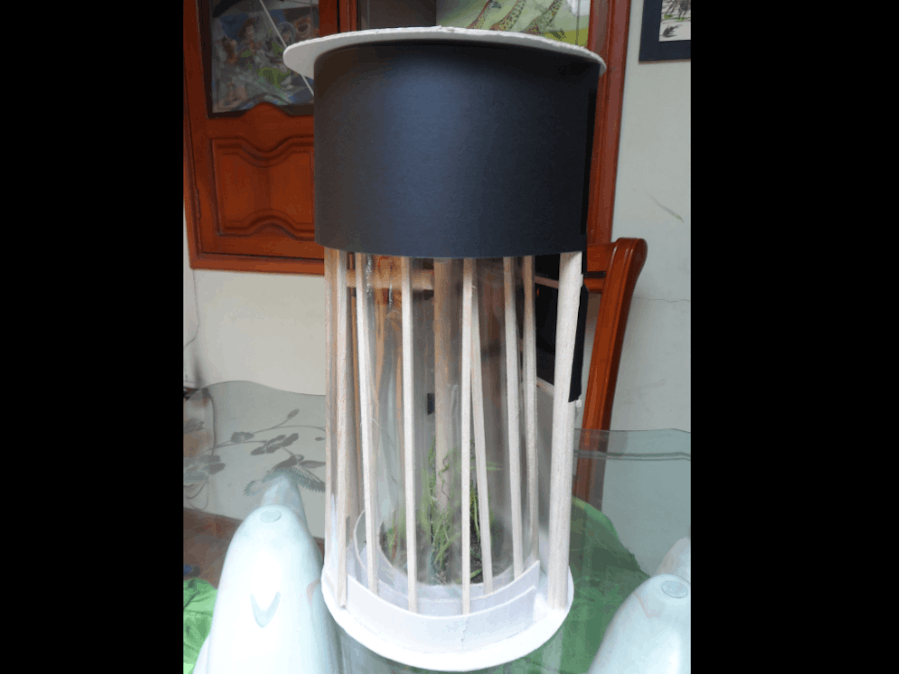 Automated flower growing system