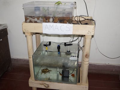 AMACS | Aquaponics Monitoring And Control System