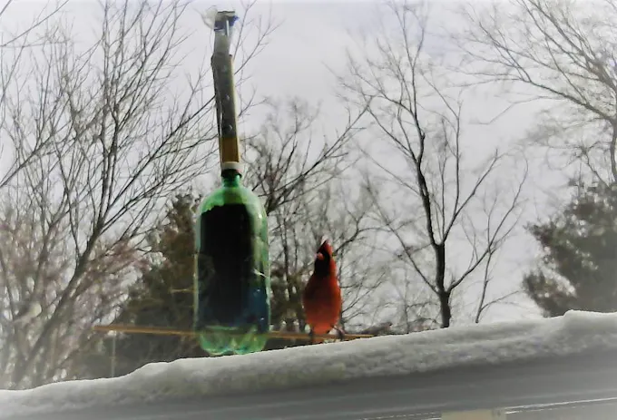 Complete Arduino & Intel Edison Starter Kit with Sensors, Webcam, and Essential Accessories