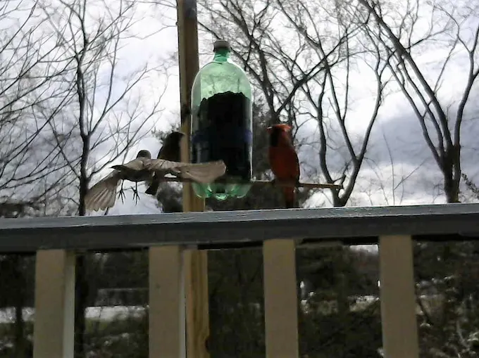 Complete Arduino & Intel Edison Starter Kit with Sensors, Webcam, and Essential Accessories