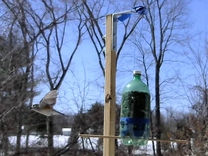 Complete Arduino & Intel Edison Starter Kit with Sensors, Webcam, and Essential Accessories