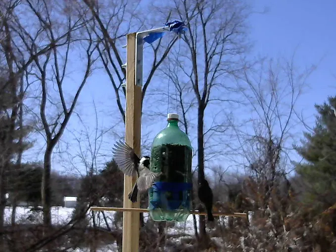 Complete Arduino & Intel Edison Starter Kit with Sensors, Webcam, and Essential Accessories